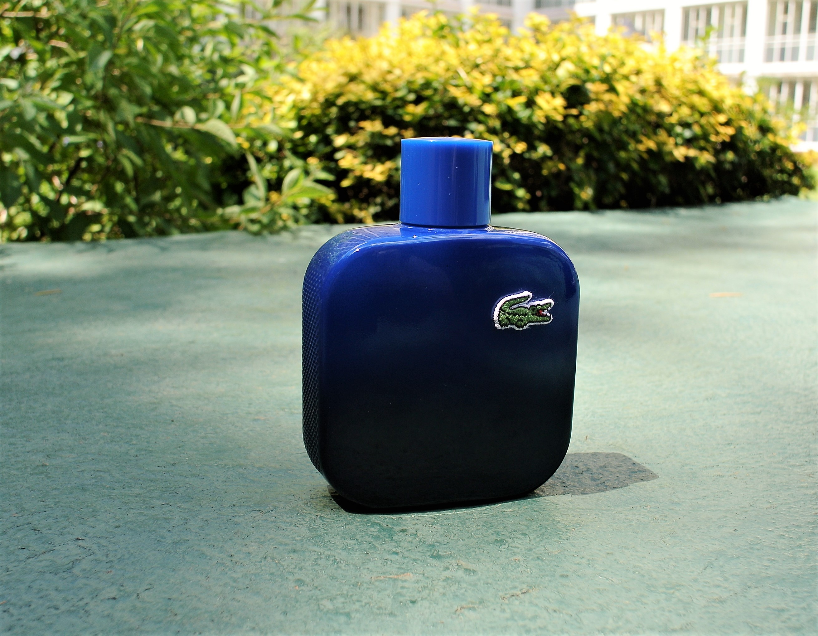 lacoste magnetic blue