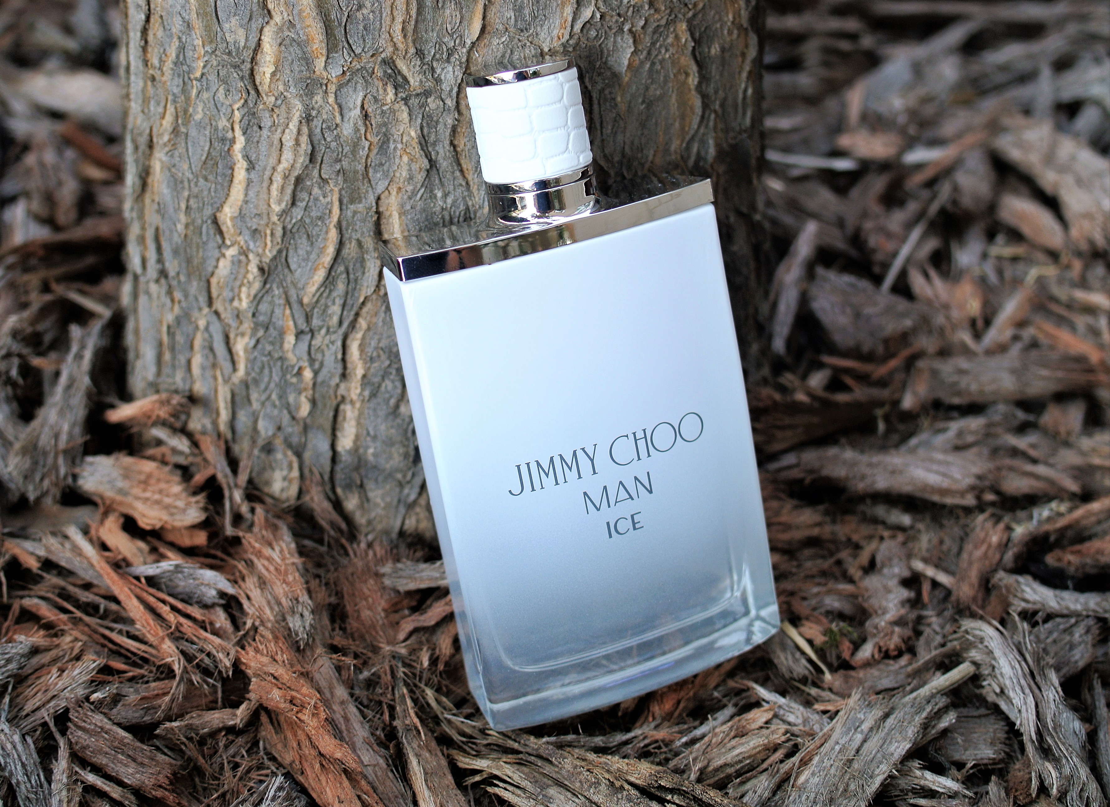 Jimmy Choo Man Ice EDT - fragroom.com