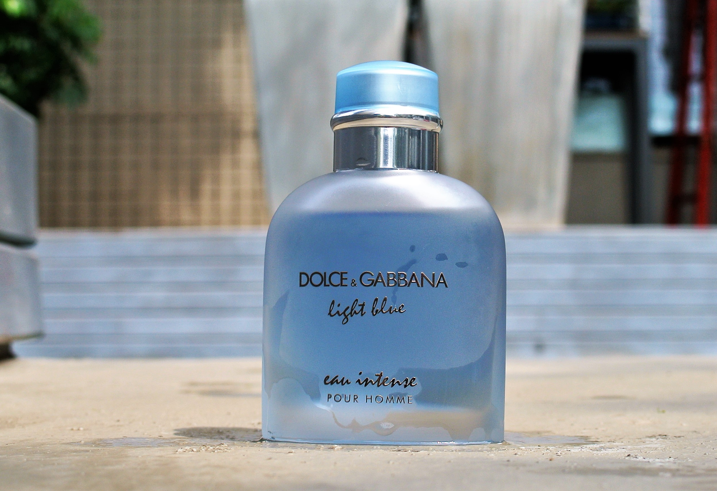 dolce gabbana light blue eau intense pour homme 100ml