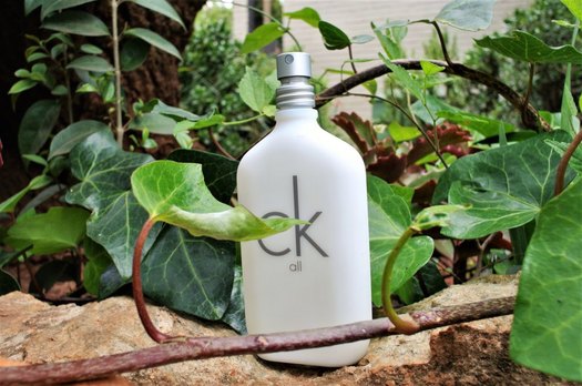 Summer Fragrances - CK All