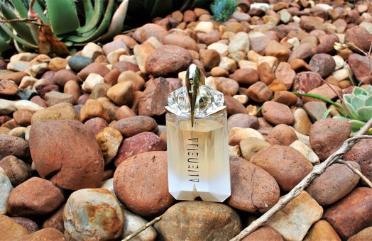 Summer Fragrances - Mugler Alien Eau Sublime