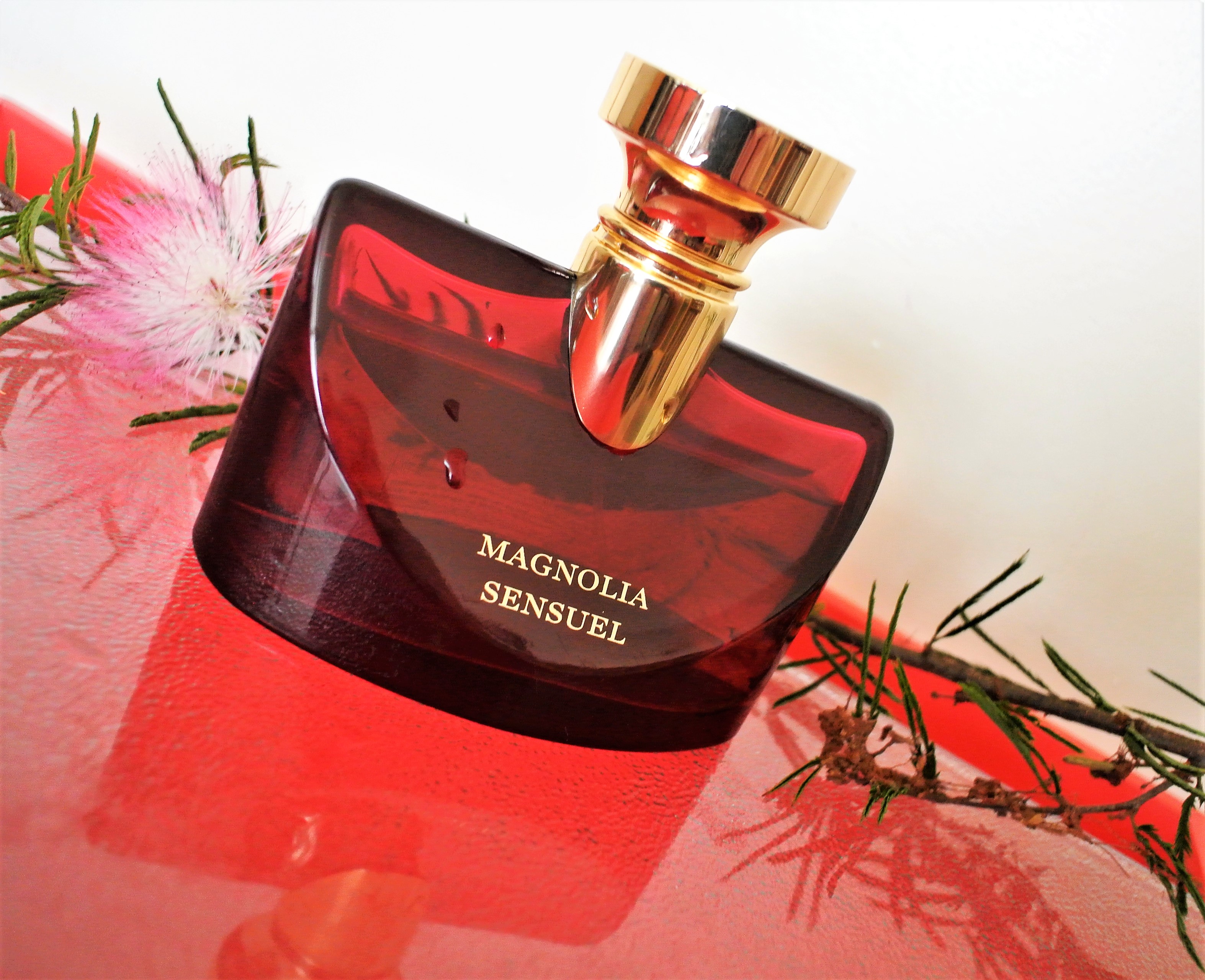 bvlgari splendida magnolia sensuel review