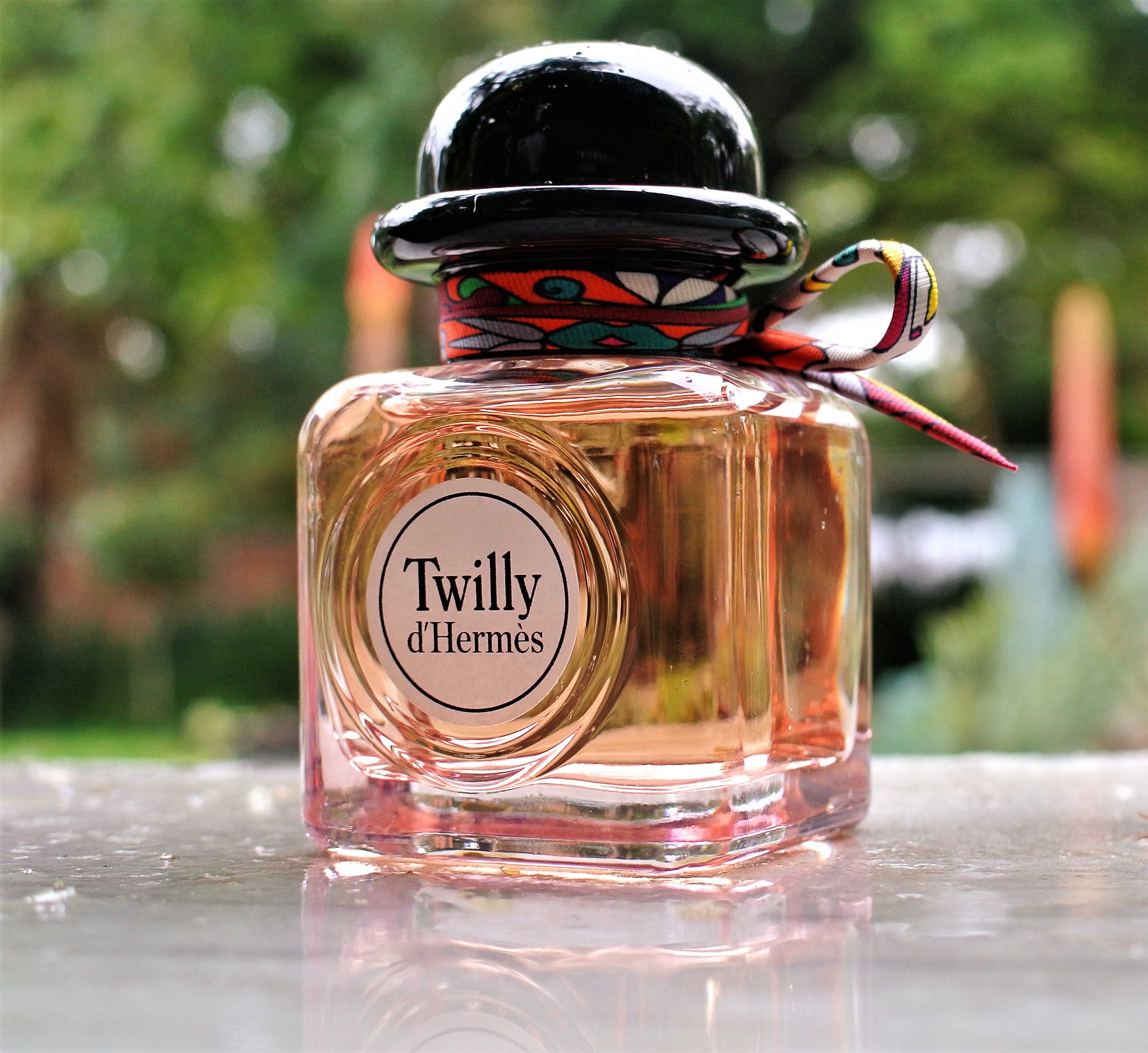 Twilly d’Hermès ED Review