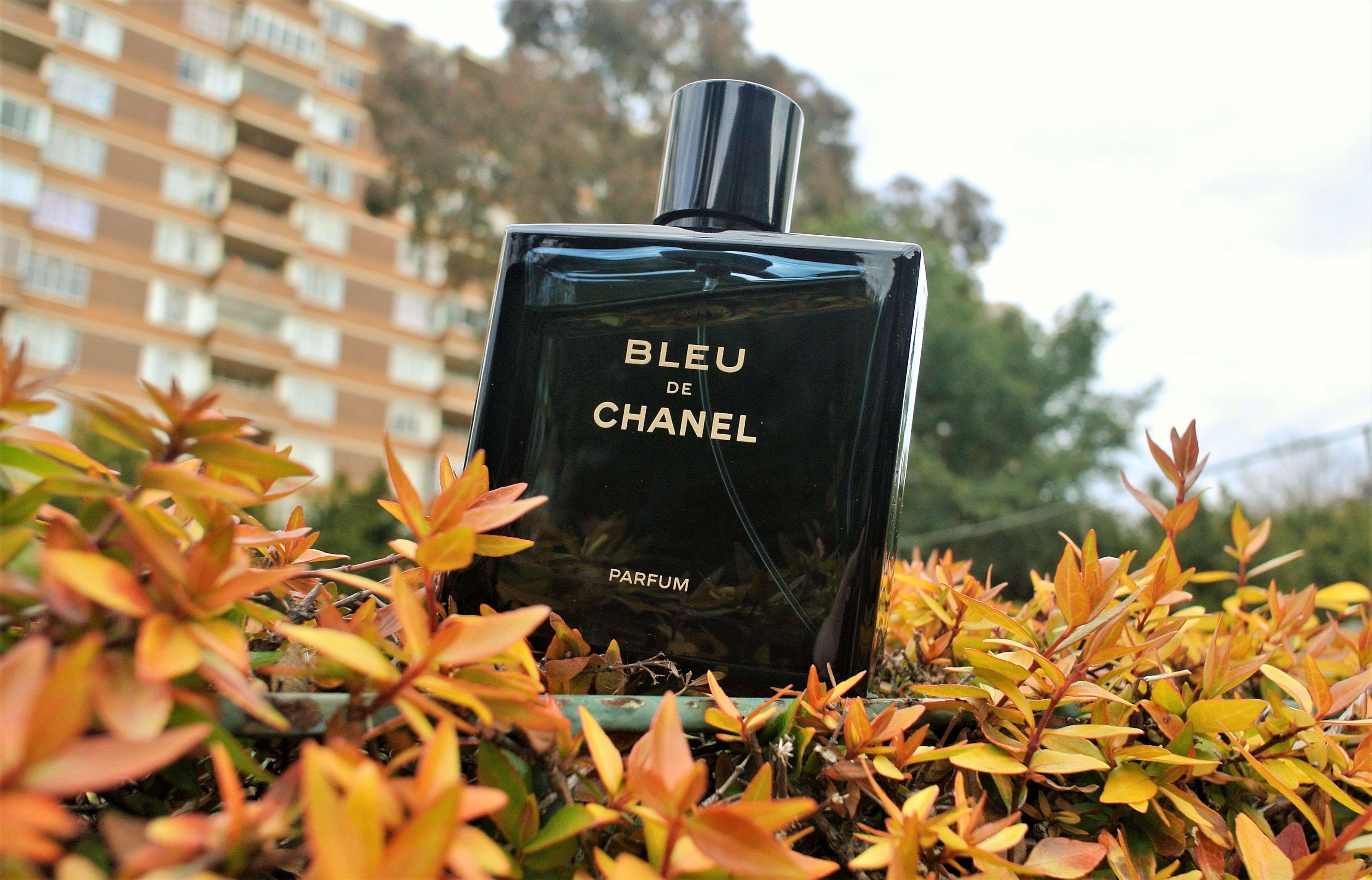 minstens Acht Loodgieter Bleu de Chanel Parfum Review: What The New Version Has To Offer