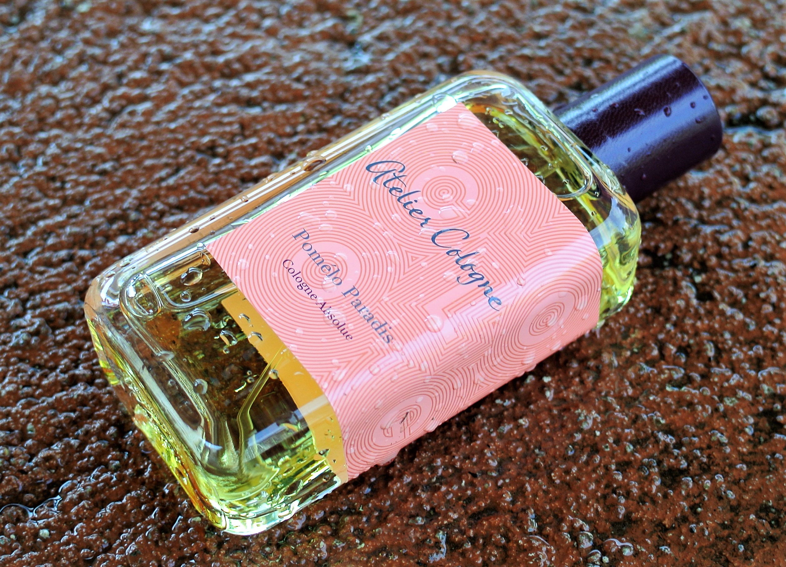 pomelo paradis review