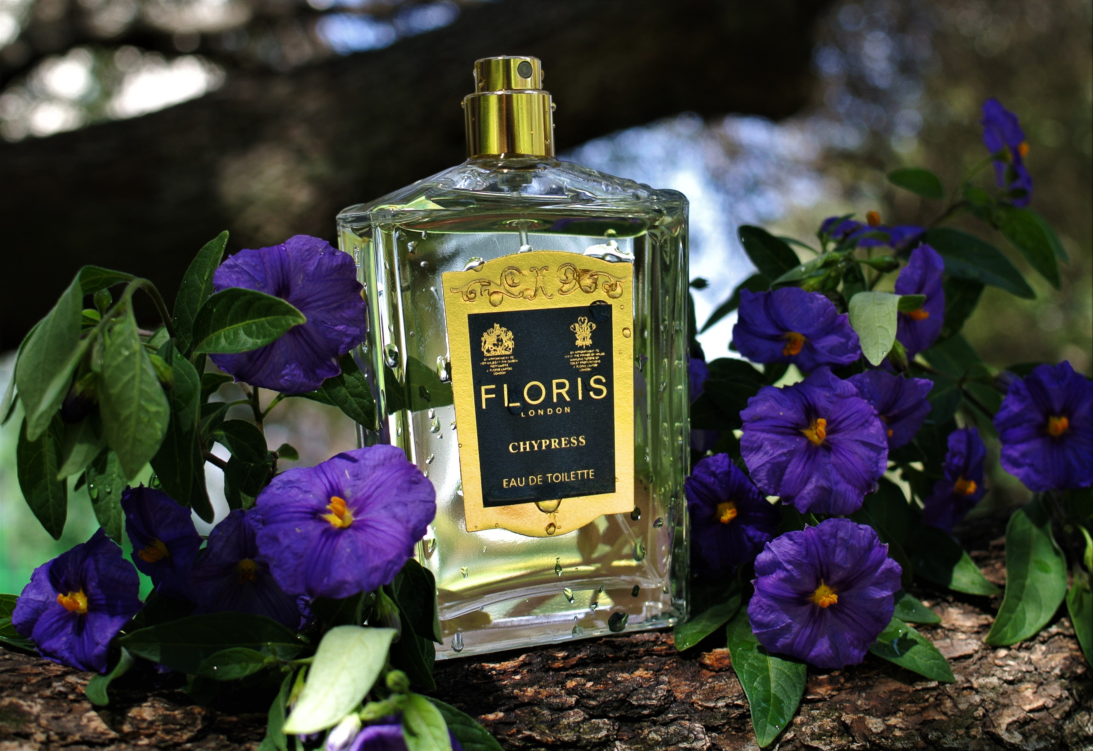 floris london chypress