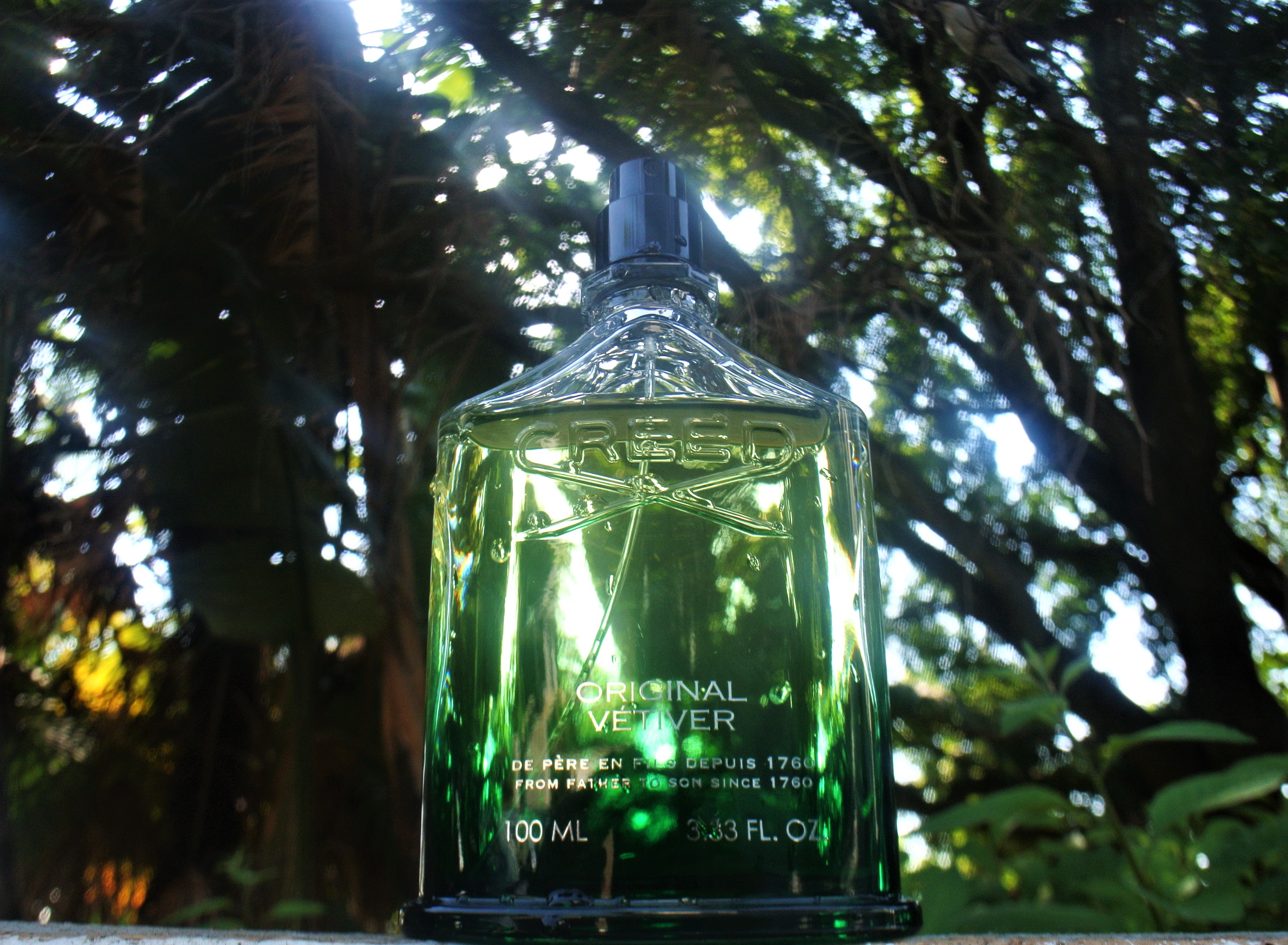 Vetiver discount scent description