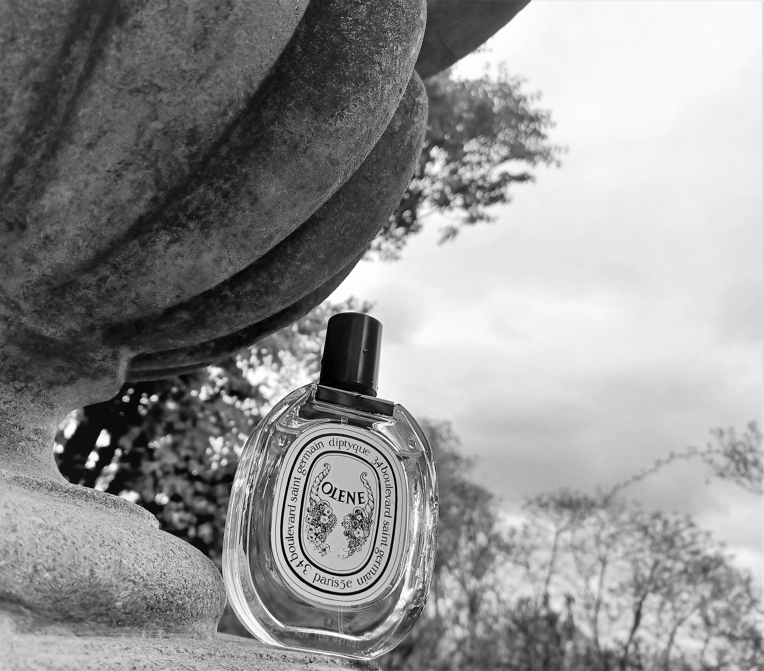 Diptyque olene best sale eau de parfum