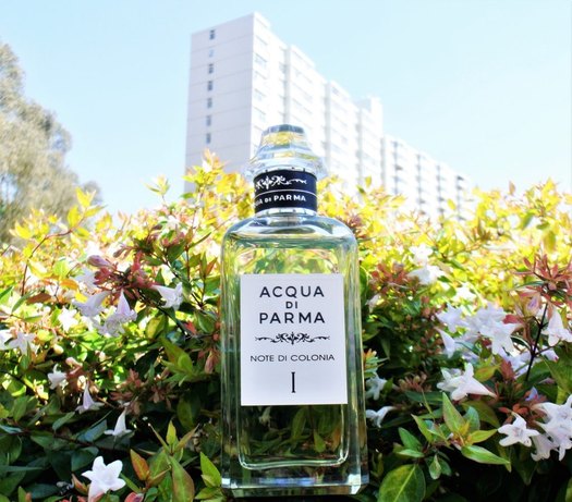 Acqua di Parma Fragrances - Acqua di Parma Note di Colonia I Eau de Cologne