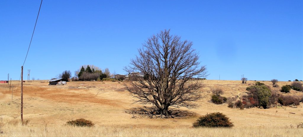 The Eastern Free State 