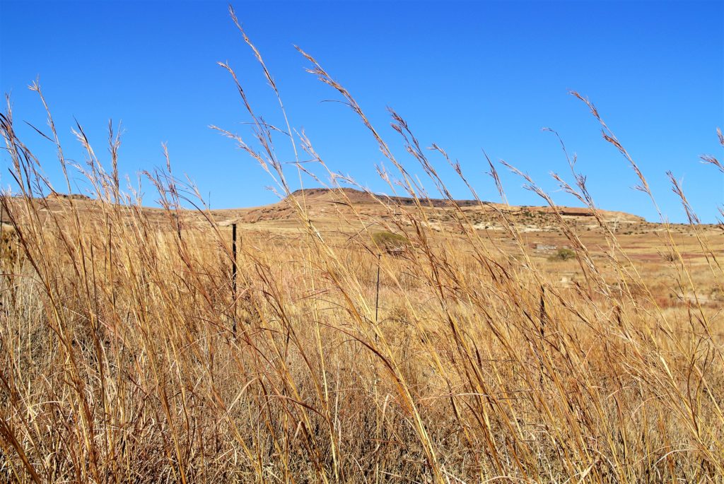 The Eastern Orange Free State