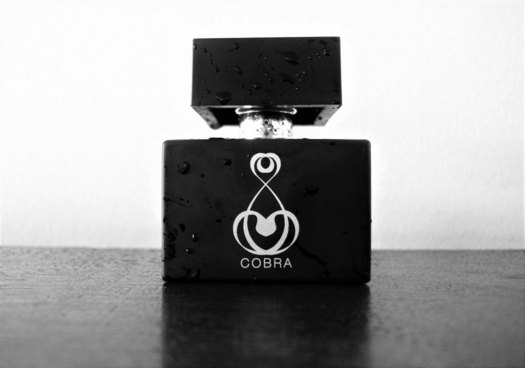 Best Budget Fragrance Buys - Jeanne Arthes Cobra For Men EDT 