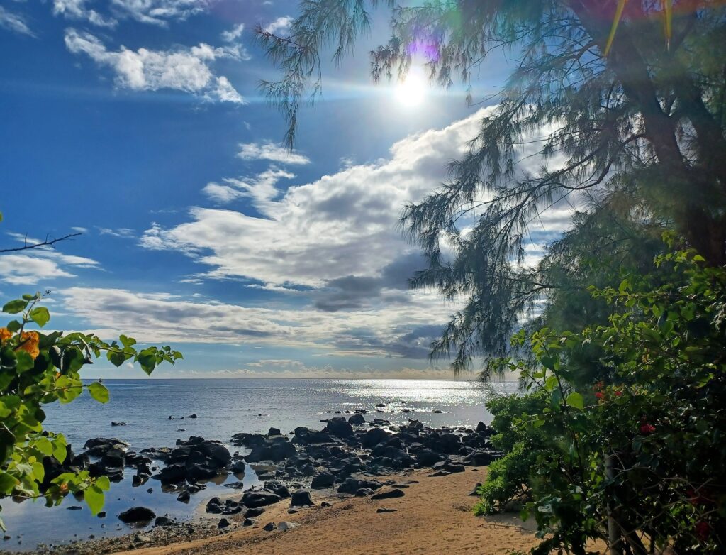 Mauritius Beach Vista 