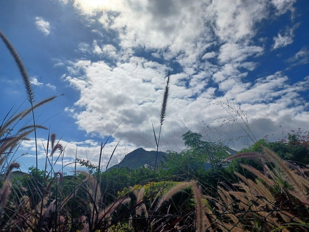 Mauritius Mountain Vista